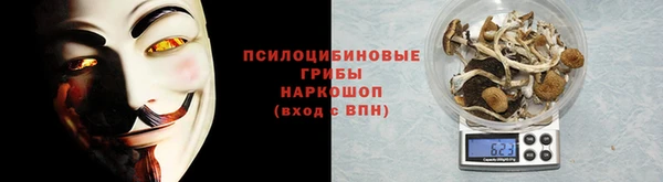 молекула духа Волосово