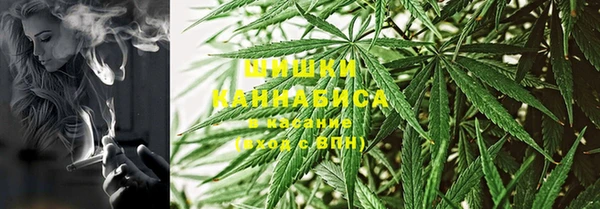 молекула духа Волосово