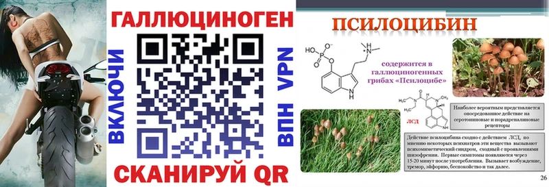 Галлюциногенные грибы мицелий  Купить  Красноперекопск 